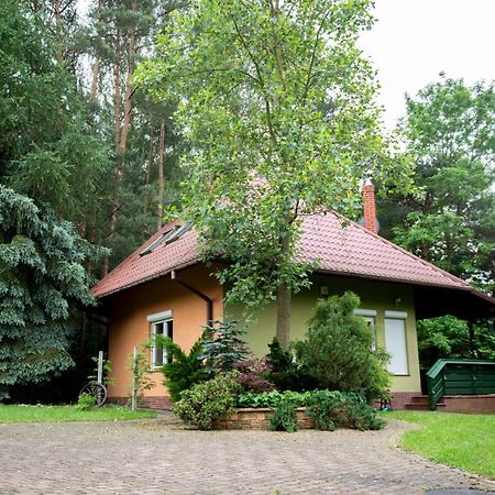 Villa Dom Nad Stawem à Rakszawa Extérieur photo