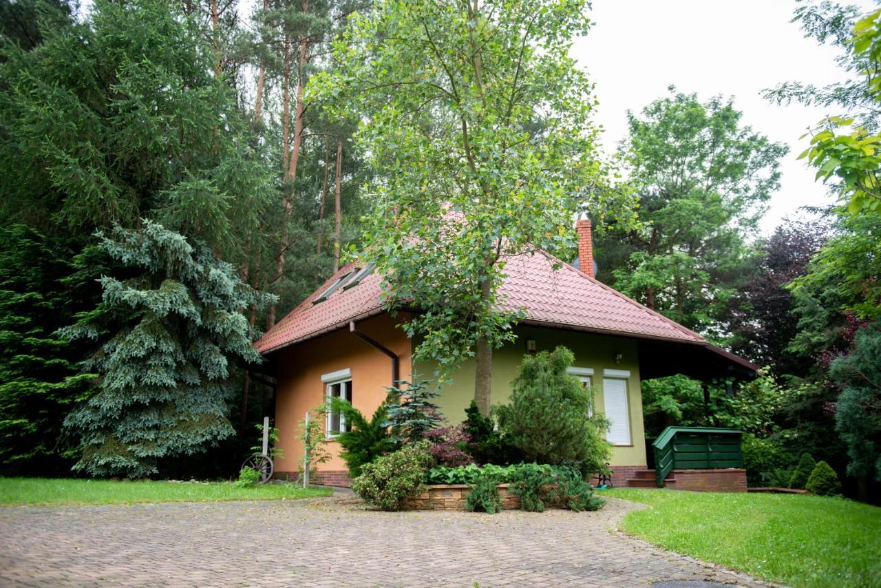 Villa Dom Nad Stawem à Rakszawa Extérieur photo